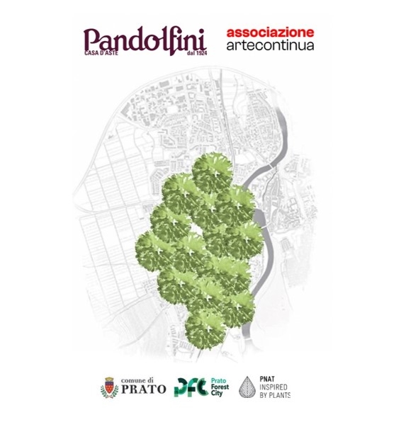 ONLINE AUCTION | PANDOLFINI AND ASSOCIAZIONE ARTE CONTINUA: CHARITY AUCTION FOR URBAN REFORESTATION