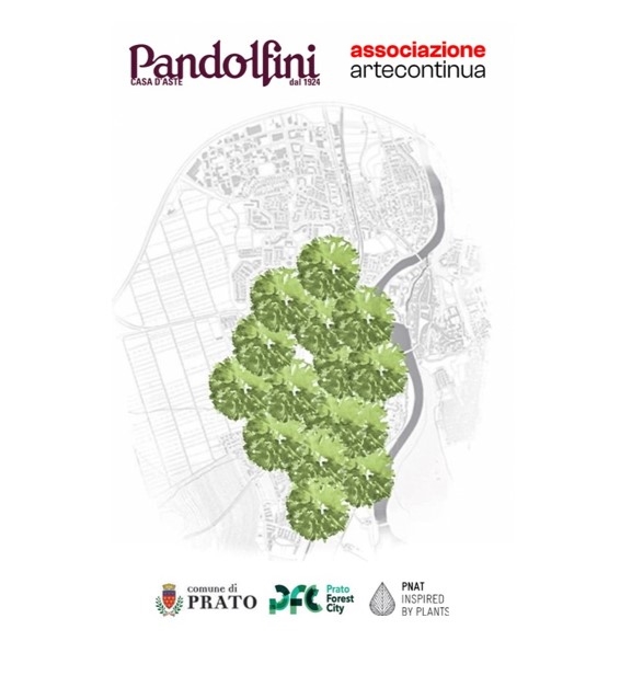 ASTA A TEMPO | PANDOLFINI CON ASSOCIAZIONE ARTE CONTINUA: ASTA BENEFICA PER LA RIFORESTAZIONE