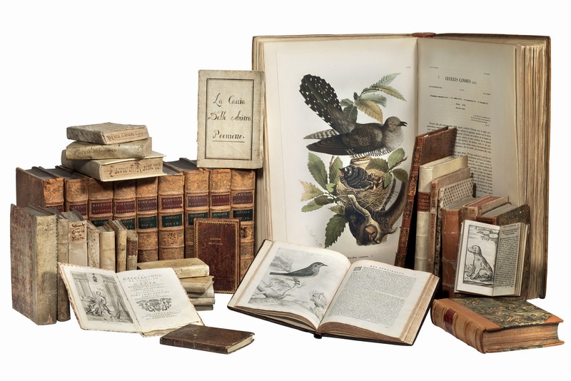 Libri, manoscritti e autografi