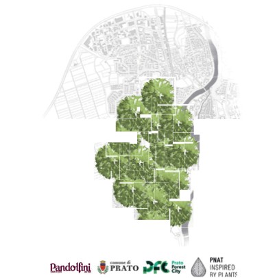 Pandolfini con associazione arte continua: asta benefica per la riforestazione urbana