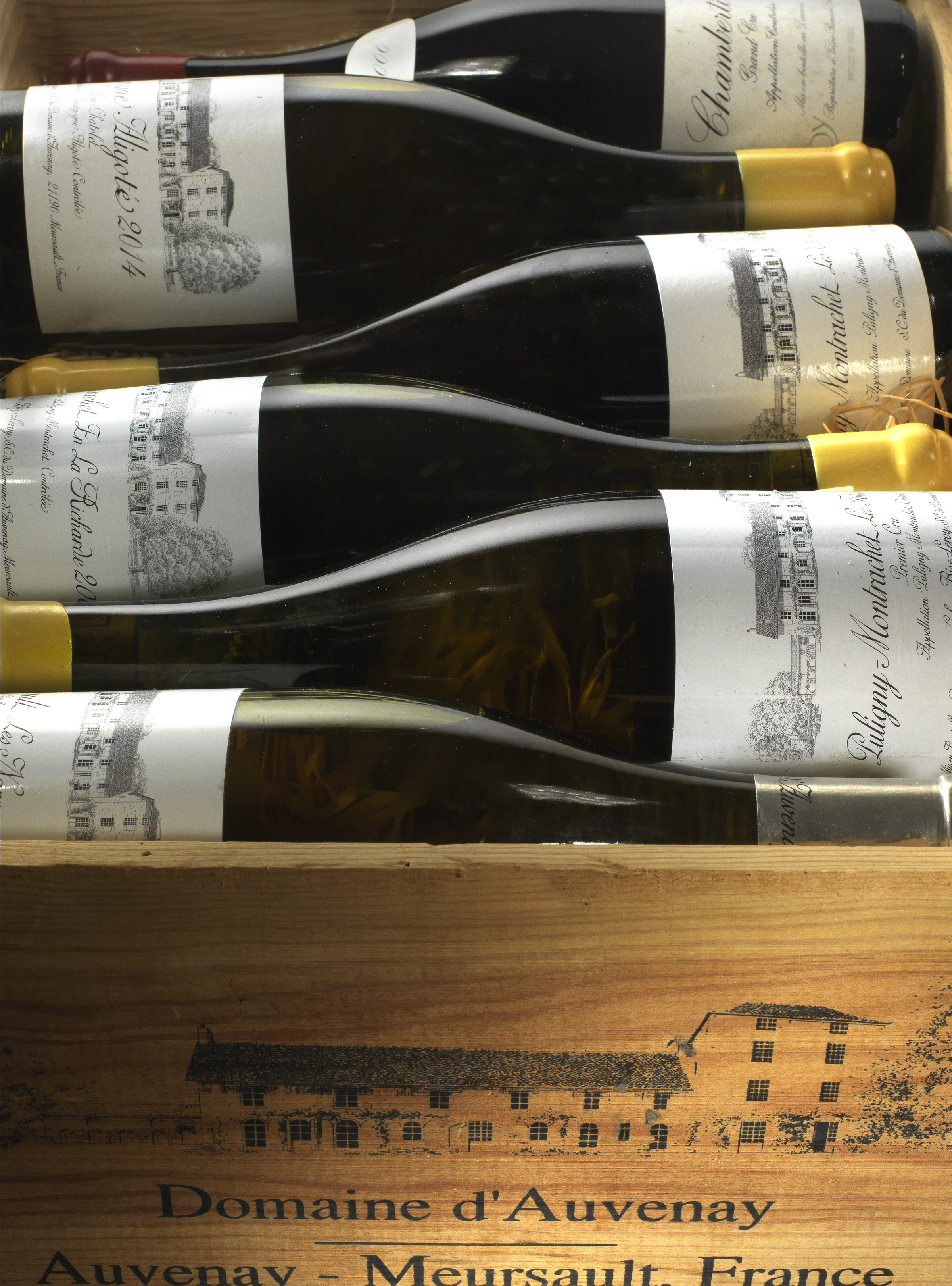 L’espressione della passione | vini pregiati e da collezione