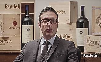 Video Fine and rare wines